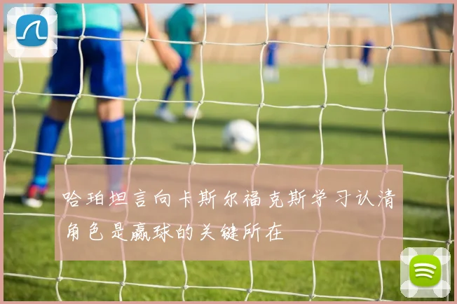 哈珀坦言向卡斯尔福克斯学习认清角色是赢球的关键所在