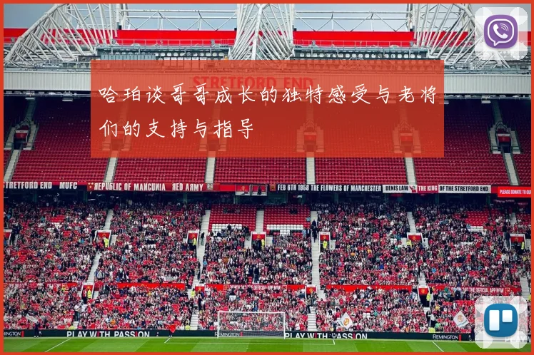 哈珀谈哥哥成长的独特感受与老将们的支持与指导