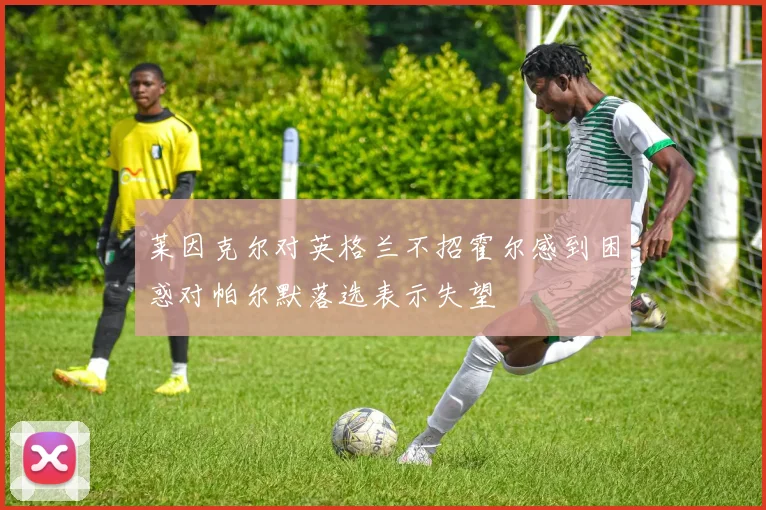 莱因克尔对英格兰不招霍尔感到困惑对帕尔默落选表示失望