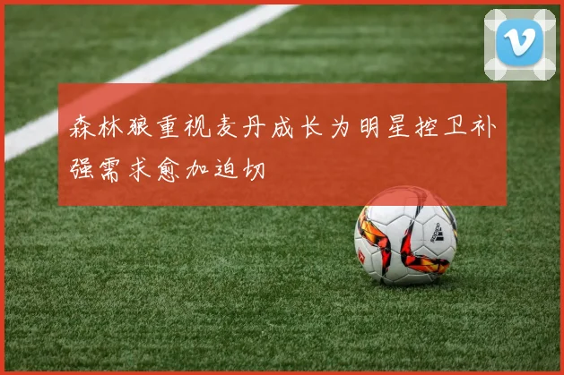 森林狼重视麦丹成长为明星控卫补强需求愈加迫切
